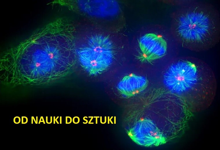Konkurs fotograficzny dla doktorantów